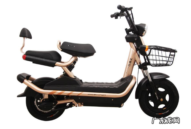 电动自行车十大名牌销量 电动自行车十大名牌