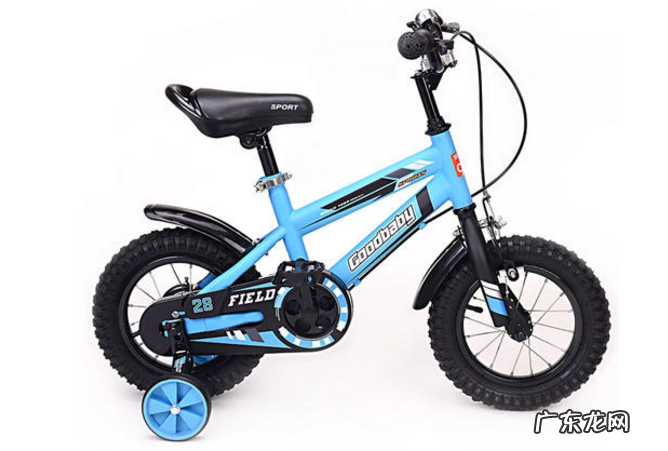 儿童自行车品牌推荐 2019儿童自行车品牌排行榜