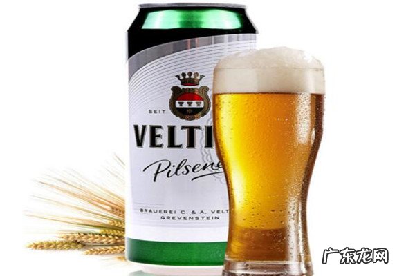 国内真正的德国进口啤酒品牌哪些好? 德国哪些牌子的啤酒好喝？十大德国啤酒品牌推荐