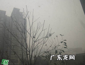 雾霾对孕妇有什么危害?雾霾对胎儿有影响吗?