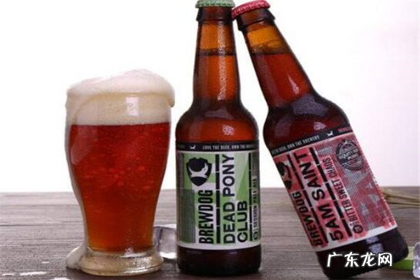 最好喝的精酿啤酒排行 哪些牌子的精酿啤酒好喝?十大精酿啤酒品牌推荐
