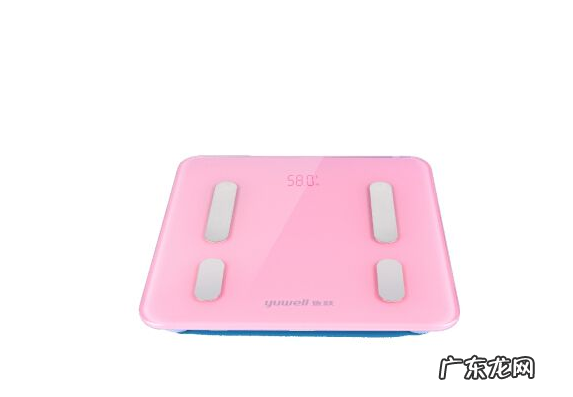 品牌电子秤有哪些,哪个质量好 电子称哪个牌子最好?家用电子秤10大品牌