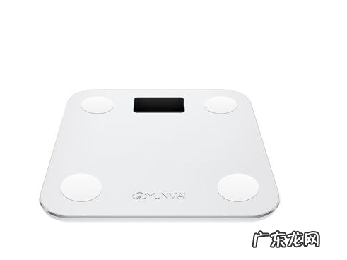 品牌电子秤有哪些,哪个质量好 电子称哪个牌子最好?家用电子秤10大品牌