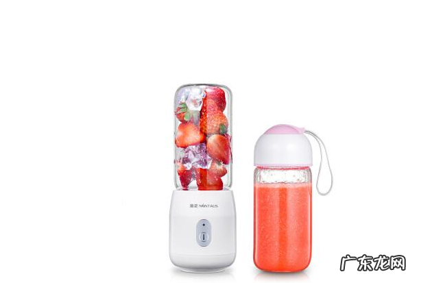 家用全自动榨汁机哪个牌子好 随身榨汁机哪个牌子好？性价比高的便捷式榨汁机品牌排行榜