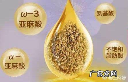 人体脂肪也有好坏之分吗?