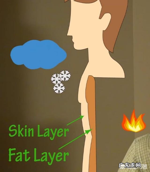 人体脂肪也有好坏之分吗?