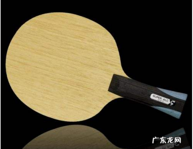 世界乒乓球拍品牌排行前二十 世界乒乓球拍品牌排行