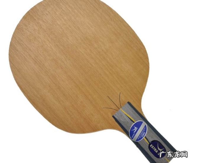 世界乒乓球拍品牌排行前二十 世界乒乓球拍品牌排行