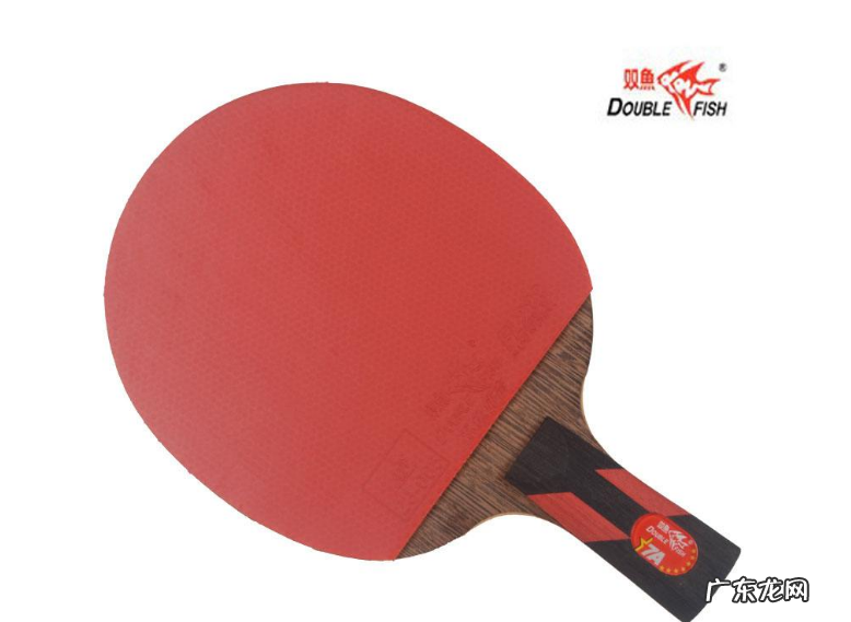 世界乒乓球拍品牌排行前二十 世界乒乓球拍品牌排行