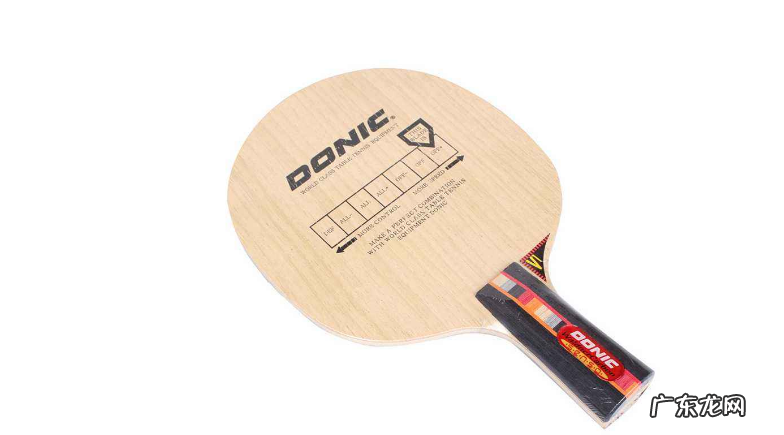 世界乒乓球拍品牌排行前二十 世界乒乓球拍品牌排行
