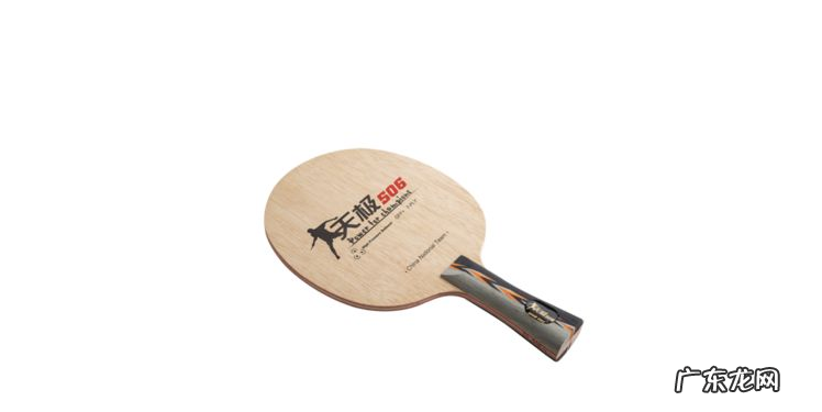 世界乒乓球拍品牌排行前二十 世界乒乓球拍品牌排行