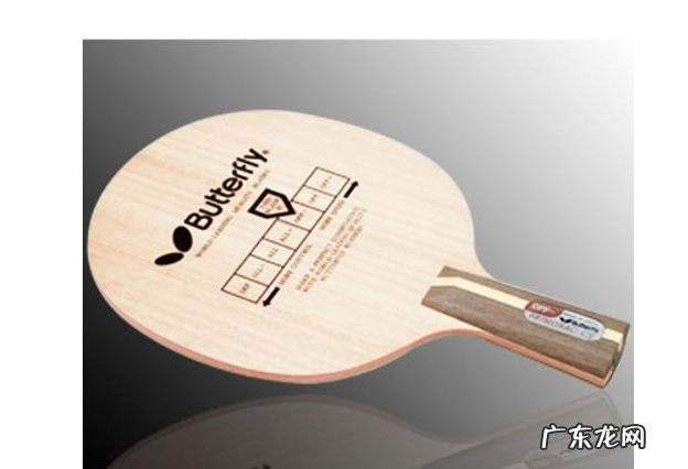 世界乒乓球拍品牌排行前二十 世界乒乓球拍品牌排行