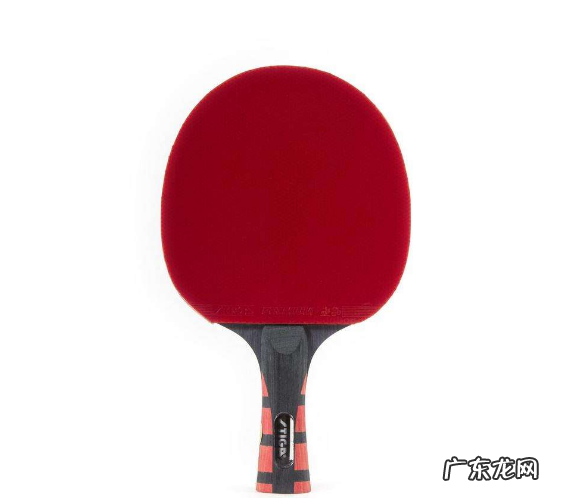 世界乒乓球拍品牌排行前二十 世界乒乓球拍品牌排行