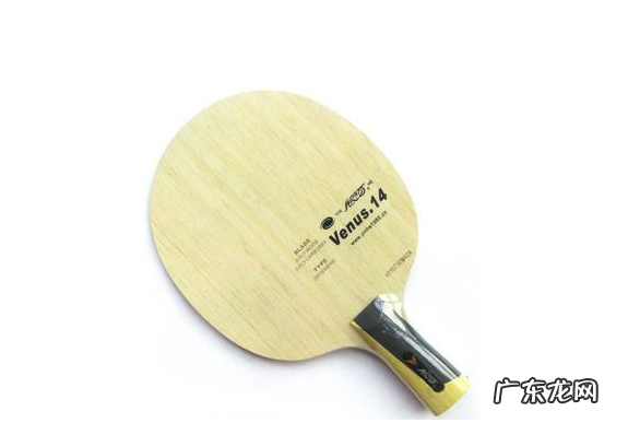 世界乒乓球拍品牌排行前二十 世界乒乓球拍品牌排行