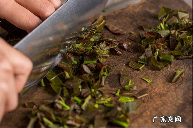 香椿有哪些营养价值？怎么做最好吃？