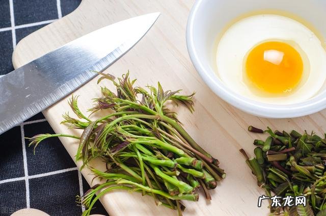 香椿有哪些营养价值？怎么做最好吃？