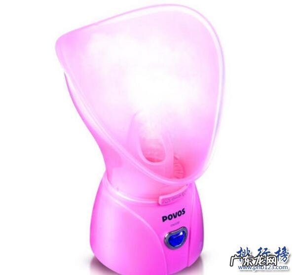 什么牌子的喷雾仪好 美容喷雾机什么牌子好?美容喷雾机十大品牌排行榜