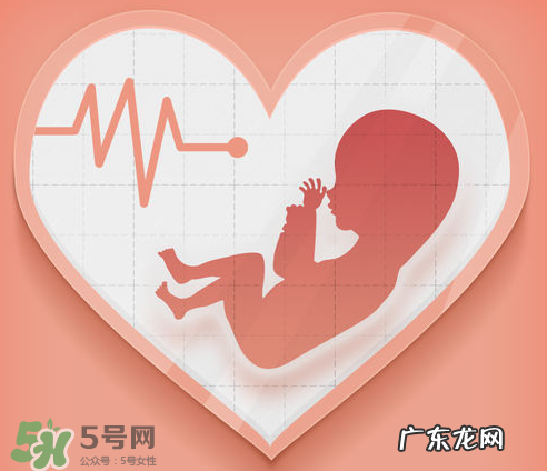 胎心仪可以天天用吗？胎心仪的使用频率