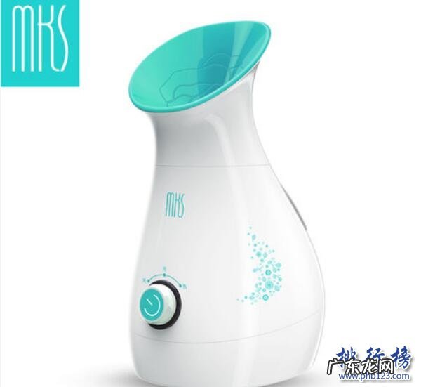 家用蒸脸器哪种比较好 蒸脸器什么牌子的好?蒸脸器十大品牌排行榜