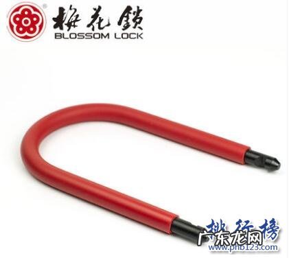 摩托车防盗锁哪种好 摩托车防盗锁什么牌子好?摩托车防盗锁十大品牌排行榜