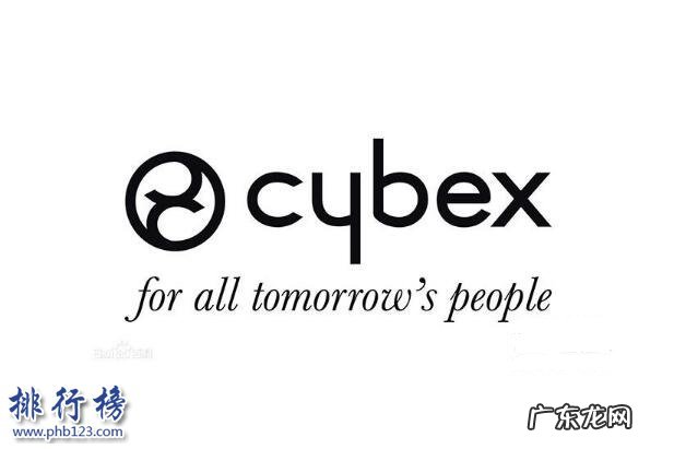 儿童汽车安全座椅哪个牌子好 儿童汽车座椅哪个牌子好