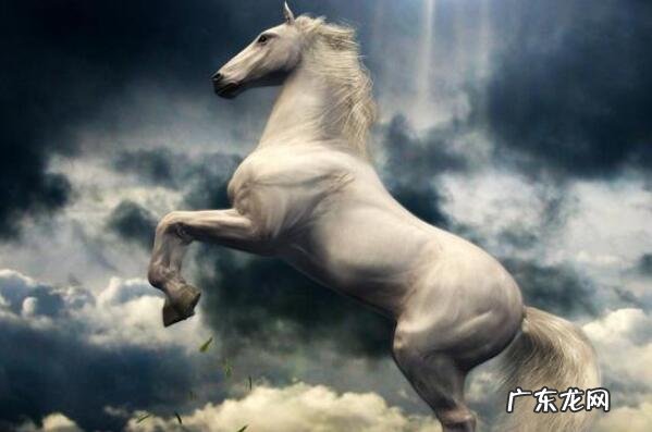 古时的十大名马 中国古代十大名马排名