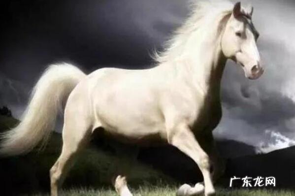 古时的十大名马 中国古代十大名马排名