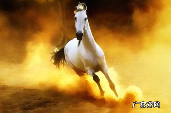 古时的十大名马 中国古代十大名马排名