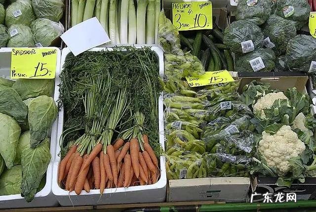 月薪一万人民币在丹麦属于什么水平有哪些事去了丹麦才知道的