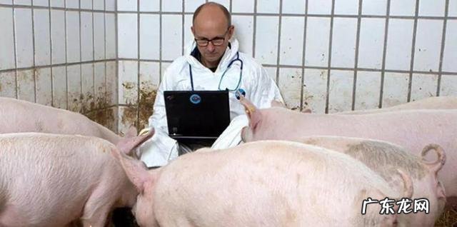 月薪一万人民币在丹麦属于什么水平有哪些事去了丹麦才知道的