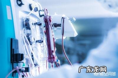 如何通过健康的饮食减轻血液透析患者身体的负担