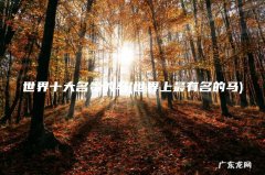 世界上最有名的马 世界十大名贵的马