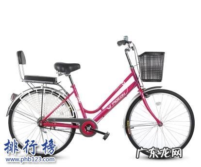 自行车最好的牌子 哪些牌子的女式自行车好?女式自行车十大品牌排行榜