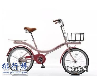 自行车最好的牌子 哪些牌子的女式自行车好?女式自行车十大品牌排行榜