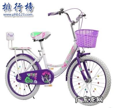 自行车最好的牌子 哪些牌子的女式自行车好?女式自行车十大品牌排行榜
