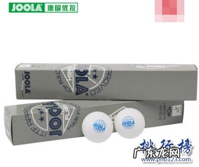 什么牌子的乒乓球拍质量最好 什么牌子的兵乓球质量好?乒乓球十大品牌排行榜推荐