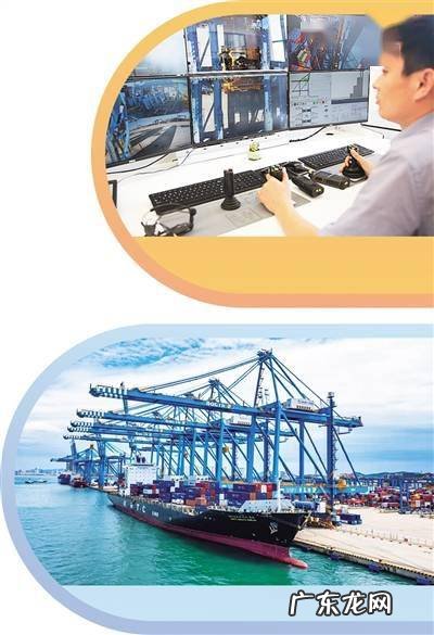 青岛港有新“魔法”