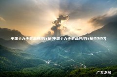 中国十大手表品牌排行榜2020 中国十大手表品牌排行榜