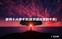 世界最名贵的手表 世界十大贵手表