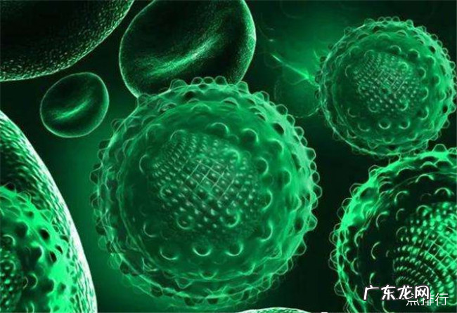 世界十大恐怖病毒排名榜 世界十大恐怖病毒排名