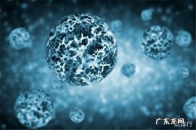 世界十大恐怖病毒排名榜 世界十大恐怖病毒排名