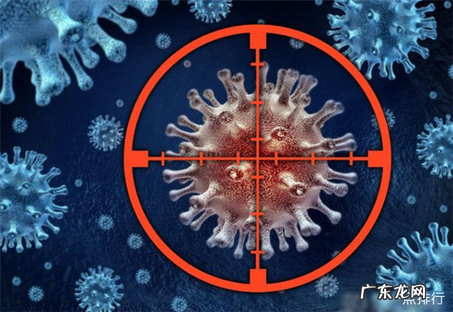 世界十大恐怖病毒排名榜 世界十大恐怖病毒排名