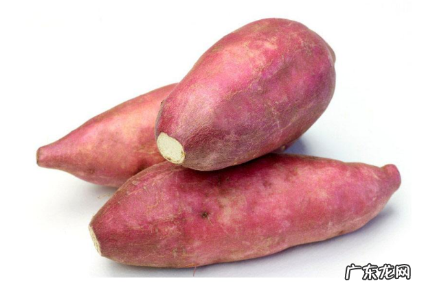 最顶饱的食物 顶饿的饱腹感食物排行