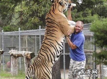 天天打拳击可以快速减肥吗需要注意什么