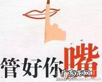 家里养两只小猫是什么感觉? 养一只小猫有什么感觉