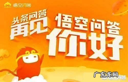 家里养两只小猫是什么感觉? 养一只小猫有什么感觉