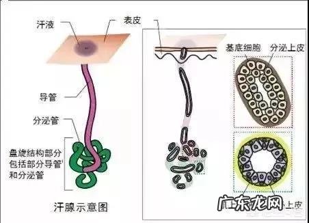 产后发汗对月子病有效果吗?