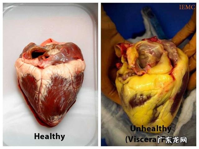 你是因为什么原因下定决心减肥的？给我一个动力？