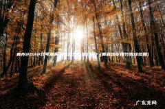 青县烟花爆竹限放范围 青州2022过年期间可以放烟花爆竹吗？