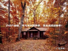 210产业链，牛气冲天辞序章，生龙活虎迎新年！